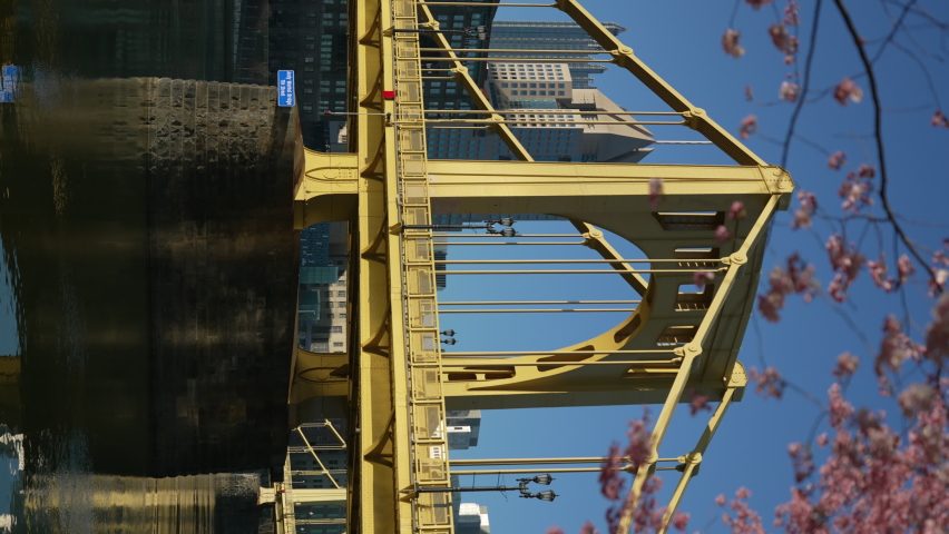 A vertical video shot of the iconic yellow Andy Warhol Bridge in downtown Pittsburgh, Pennsylvania. Pink blossoming flowering trees in the foreground.  	