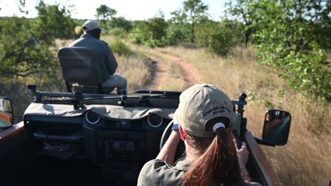 Timbawati private reserve, Greater Kruger Park, South Africa - 15 March 2021: Guide and tracker exploring the park and looking for wild animals around during the morning game drive