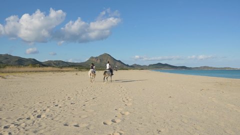 Back View Two Equestrians Riding Grey Stock Footage Video (100% Royalty