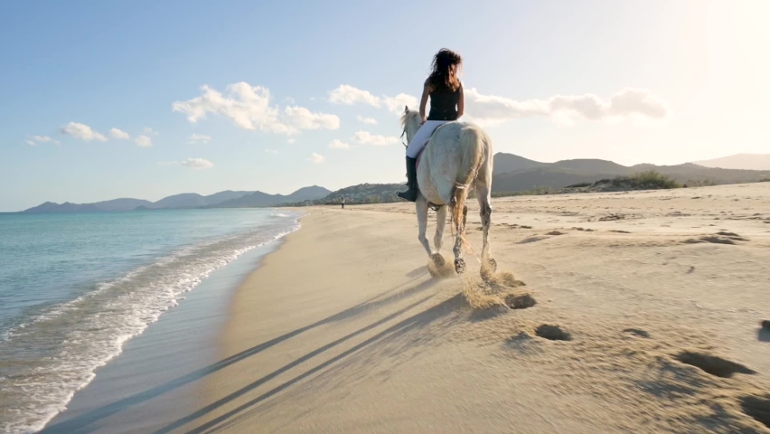 Back view of equestrian woman riding horse on the beach shore at evening. Handheld shot. Royalty-Free Stock Footage #1069890250