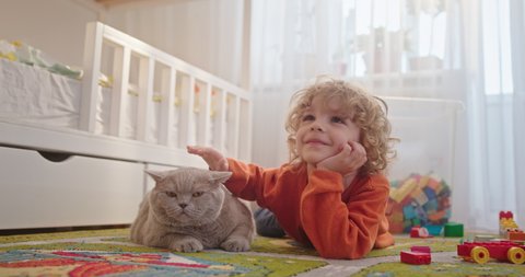 Boy stroking cat on floor. Ground level of cute boy caressing fat cat with gray fur while resting on floor in playroom