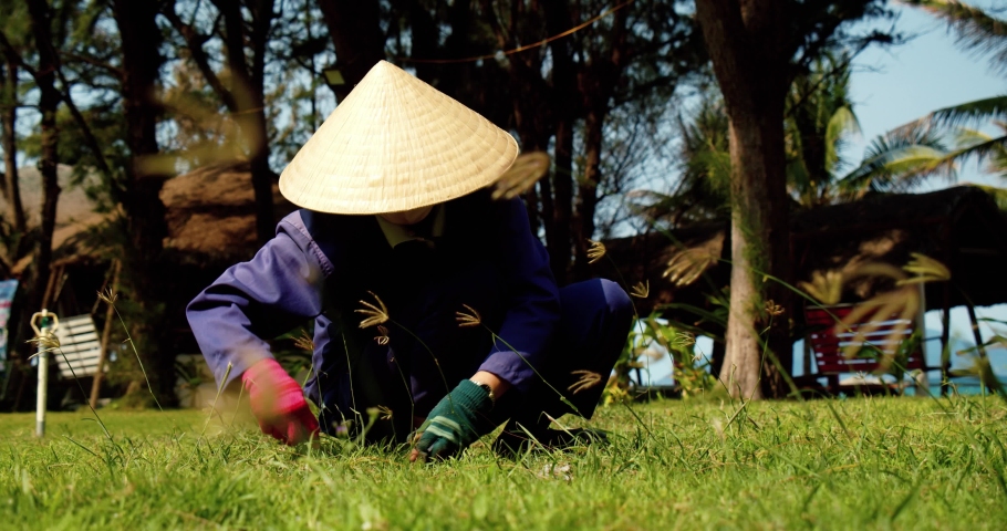 On a sunny day, Vietnamese woman works in the garden in the Vietnam village. Vietnamese field. Conceptual work in the field.