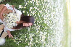 Portrait of beautiful young brunette girl in a white dress, with straw bag and hat sitting in a field with a bunch of little daisies. Girl in daisies against the background of meadows. Vertical video