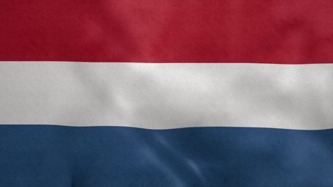 National flag of Netherlands blowing in the wind. Seamless loop
