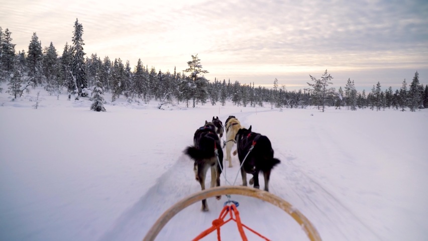 Dog sledding in Lapland. husky sled safari through snowy forest Lapland, Finland Royalty-Free Stock Footage #1069946776