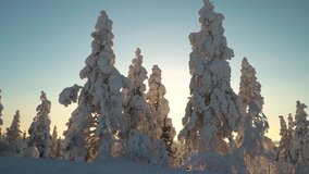 Winter wonderland in snow covered forest and sun shining between trees - Powered by Shutterstock - Get 15% off with code: PIKWIZARD15