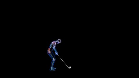 Athlete X-Ray Hitting A Golf Ball, Zoom On Pain Area, Alpha Channel