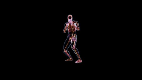 Athlete X-Ray Boxing, Front View, Seamless Loop, Alpha Channel