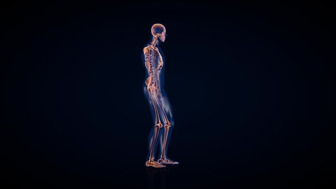 Human x-ray body and skeleton, stomack pain loop, Luma Matte