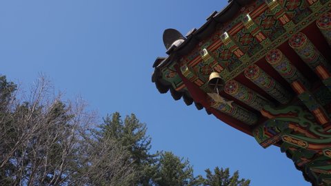 There's a wind chime(fish bell) hanging under the eaves of a temple, Low angle of Panning Left to Right