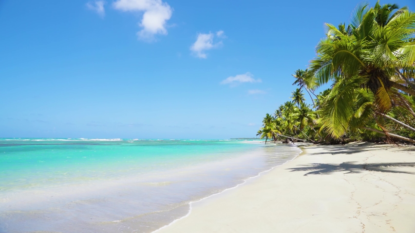 Tropic nature landscape 4k stock video. Coconut palm trees on the paradise beach background. Empty azure seawater and clear Atlantic ocean waves. Vacation in Punta Cana Dominican Republic. | Shutterstock HD Video #1069960171