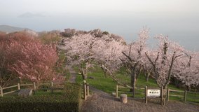 Video of mt.shiude, famous for its beautiful cherry blossoms and the Seto Inland Sea in Mitoyo City, Kagawa Prefecture