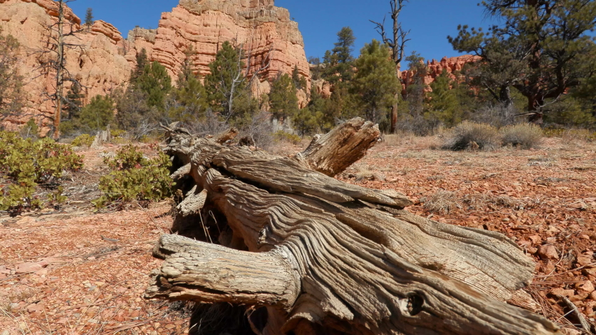 Establishing of red rock sandstone formations near the Red Canyon Visitors Center on Highway 12, gateway to Bryce Canyon National Park, Utah.  Shot in UHD on a sunny day.
