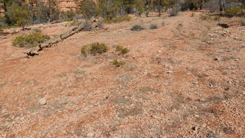 Establishing of red rock sandstone formations near the Red Canyon Visitors Center on Highway 12, gateway to Bryce Canyon National Park, Utah.  Shot in UHD on a sunny day.
