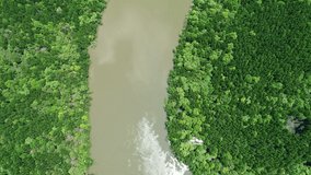 Amazing rainforest Aerial view 4K landscape of the river Environmental Reserve in sunny good weather day Concept nature environment and travel tour website background