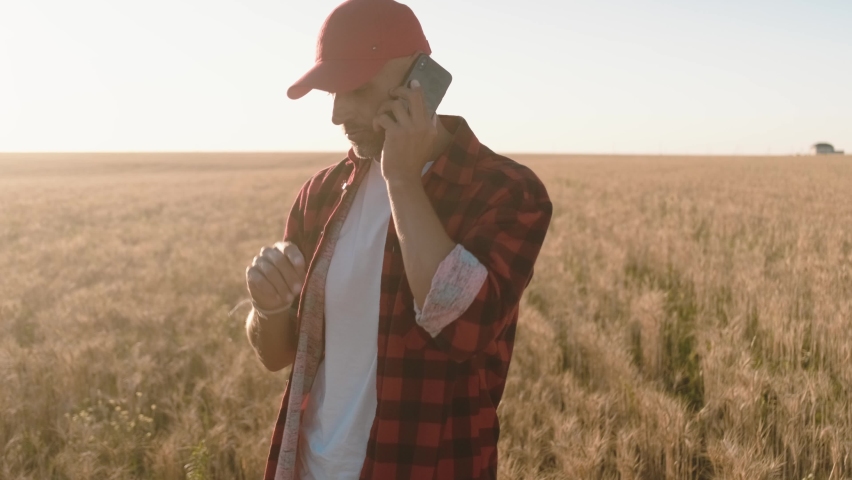 A handsome farmer man in a red cap is talking on the phone while taking a photo of wheat at a cereal field