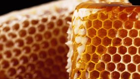 Close up Honey dripping. Honeycomb with honey. macro shot. 4K UHD video footage.