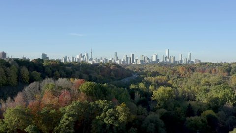 Aerial view of the Toronto skyline as seen from Toronto's Don Valley. Autumn trees in the foreground, the CN Tower in the background