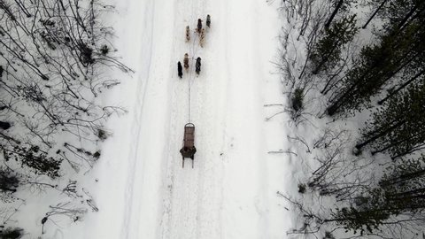 Drone Aerial view of dogsledding handler with team of trained husky dogs mountain pass, husky dog sled riding in winter forest 库存视频