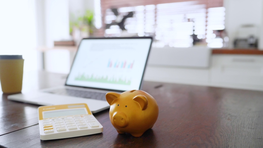 Pig laptop Stock Video Footage - 4K and HD Video Clips | Shutterstock