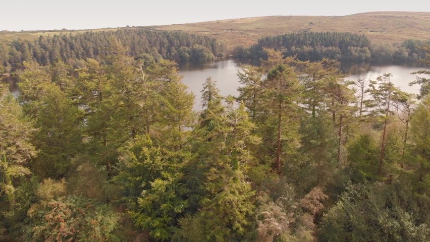 Video of Lake beyond the trees