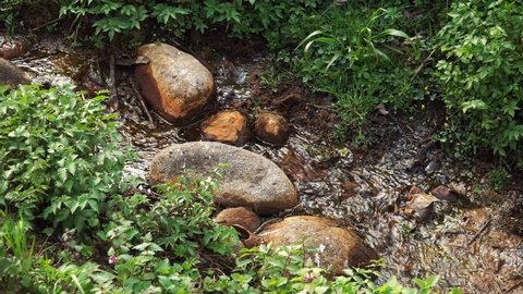 Source stream flows down in a rocky valley with a grassy shore in wild nature. Wild grass green color contrasts with stones in rusty hue. The tributary of a river with a beautiful natural background.