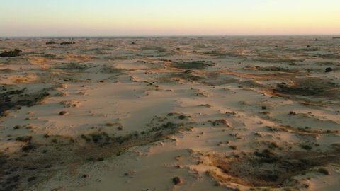 Beautiful landscape of the most bigger desert in Europe. Aerial view, 4k. Sand and little flora on it. Tourism place in Ukraine, Kherson. Oleshky Sands.