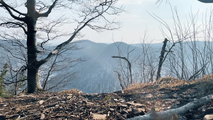 Early spring forest. A man in a red jacket hiking the mount.
