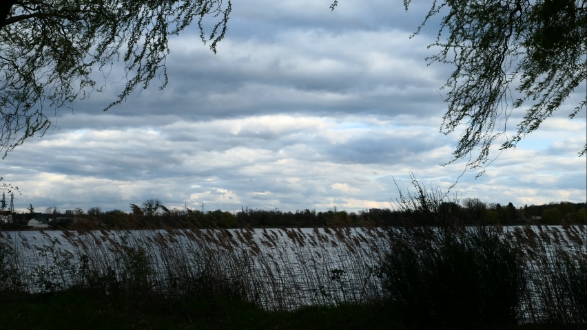 Time lapse of a cloudy sky becoming stormy. Gray clouds passing over a lake. Branches of trees and pampas grass in the foreground at the water