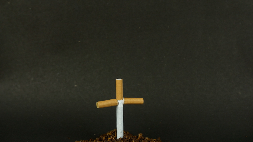 Tomb with a cross made of cigarettes and tobacco grave - smoking kills. Pan-shot of a cross made on a pile of tobacco warning about the harms of smoking - quit smoking concept Royalty-Free Stock Footage #1070146675