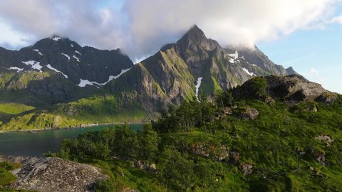 Aerial view over trees on a hill, revealing the ocean and steep mountain peaks, in Lofoten, Norway - pan, drone shot