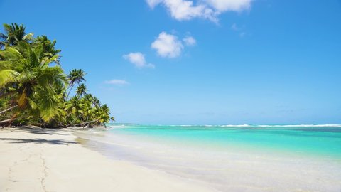Sunny tropical landscape on the beach 4k stock video background. Palm beach on white sand near the turquoise seawater with clear ocean waves. 