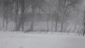 Red old barn in snow storm 4K - Powered by Shutterstock - Get 15% off with code: PIKWIZARD15