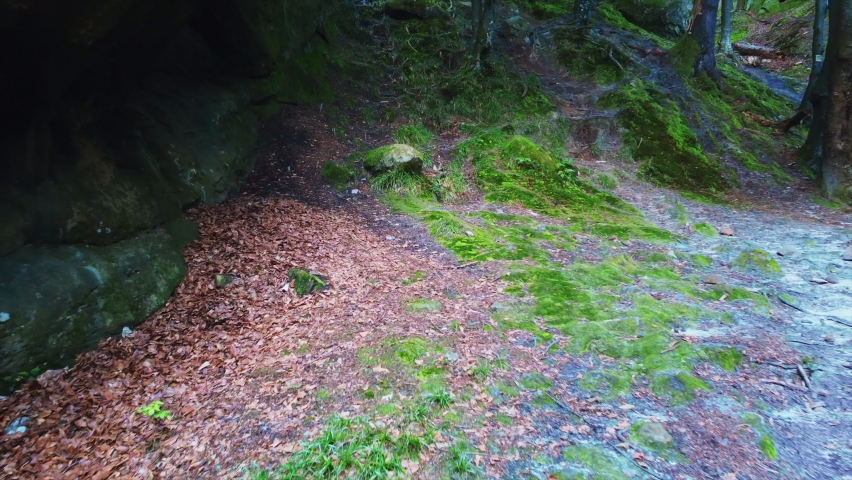 Stone path by the mountainside. Rocky mountain path in the dense green forest.
