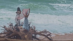 
4K. High quality video. Two women took pictures on a large piece of wood by the beach.
A huge wave lashed the large log where the two women stood.
