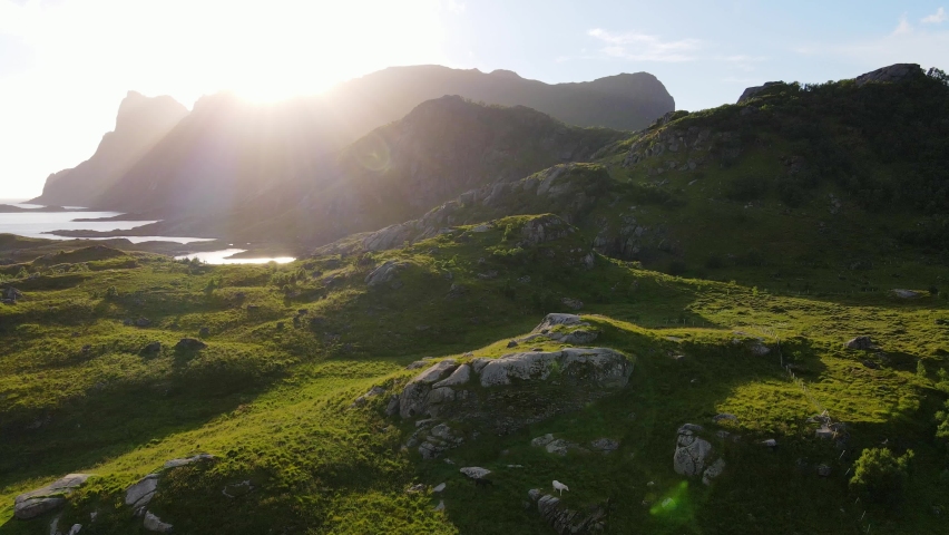 Aerial view over lush, green nature and hills, towards steep mountains and bright sunlight, in Lofoten, Norway, sunny, summer evening - dolly, drone shot Royalty-Free Stock Footage #1070201251