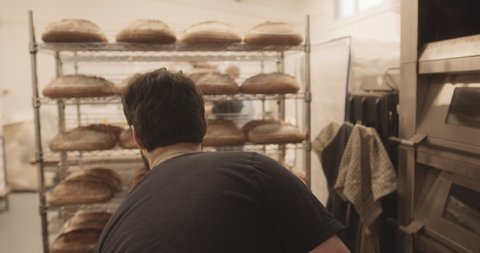 Bearded male baker taking baked sourdough bread out of the oven wearing apron in bakery
