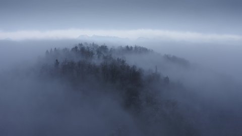 Flying through thick moody fog in a forest on a dark mysterious morning. 4k Aerial view with drone.