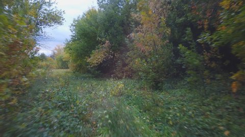 The camera moves in overcast day, above a forest dirt road among dense trees with green foliage in and then he drives out to the autumn meadow