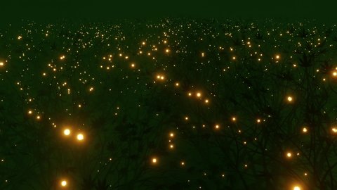 Fantasy dark green color foggy forest landscape scene with mystic firefly lights. 3D rendered loop animation