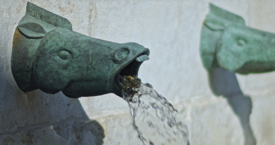 Side view of a decorative fountain in a shape of a horse head coming from a wall. Slow motion.