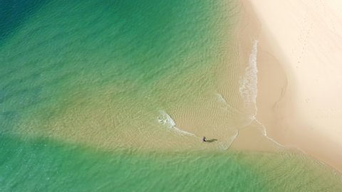 Lingua areia, Portinho da Arrabida, Portugal. Aerial footage of the stunning isolated beach falling steeply into the sea. Tourist walking along a shallow - view from above. High quality 4k footage
