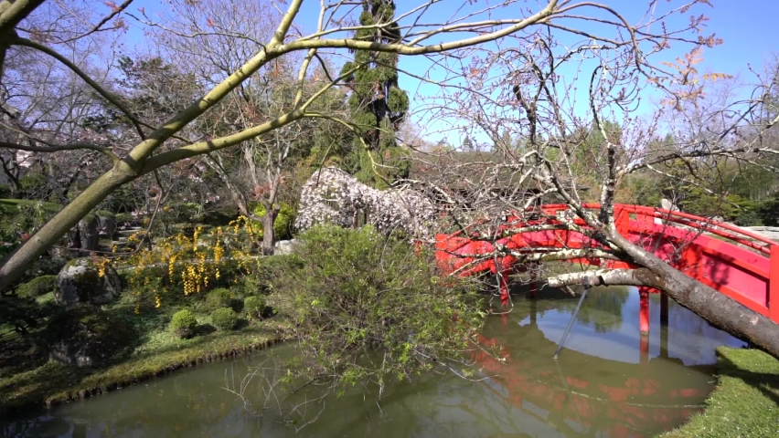 Japanese garden in Toulouse France with red arch bridge and bent cherry trees, Aerial dolly pan left shot