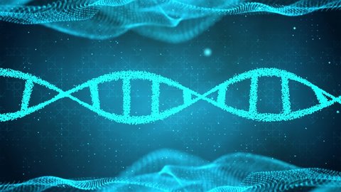 Abstract rotating DNA double helix 3D animation on dark blue Seamless loopable background. Hologram glowing DNA. Science and medicine concepts. DNA double helix, medical background