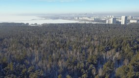 Aerial video view from drone of winter siberian urban landscape. Pine forest, Ob Sea, town Akademgorodok are on background. Novosibirsk, Siberia, Russia.
