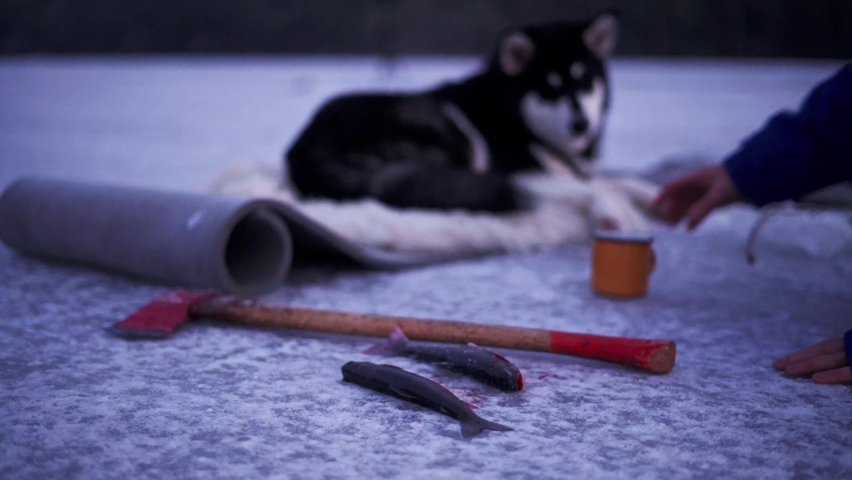 Two Pieces Of Fish Next To An Axe - Fisherman Drinking Coffee With His Dog On Frozen Lake In Winter Fishing Near Trondheim, Norway. - Selective Focus Shot