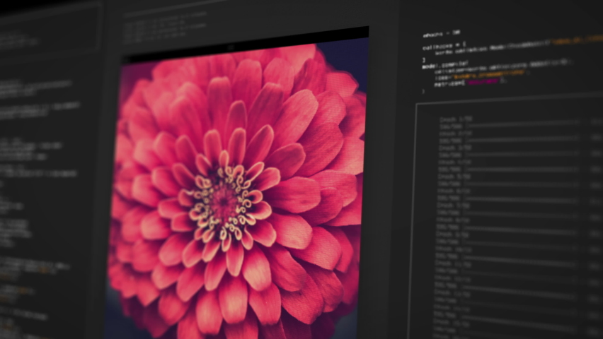 Colorful flower images are subject to machine learning proccess as shown on computer screen. Realistic cgi animation of neural network in action Royalty-Free Stock Footage #1070315080