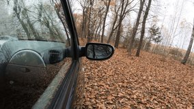 Video of a car driving through an autumn forest in the countryside. A professional camera is installed outside the car at a special point of view.