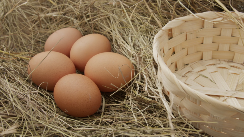 Egg in Wicker Basket, Ingredients Cooking, Basket Egg. hand lays eggs in the egg storage box.close-up. Close up hand of a man puts raw chicken eggs in a cardboard box.
Easter eggs.  Royalty-Free Stock Footage #1070325016