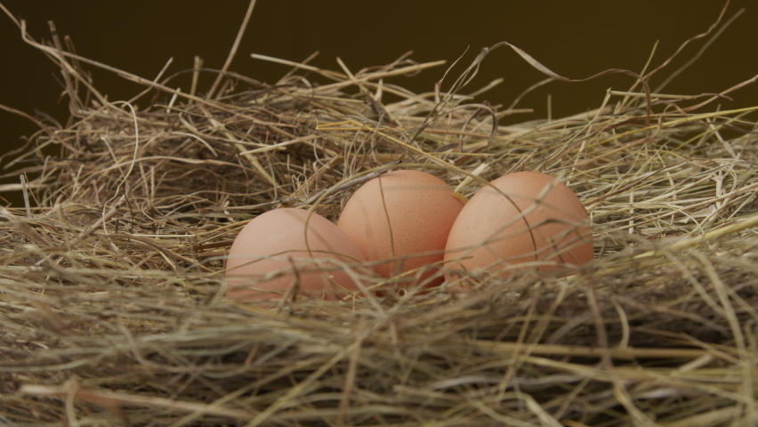 Organic fresh eggs on straw. Nest with chicken eggs on a farm at sunny morning. Farmer's hand picks up eggs for breakfast. A farmer collects fresh chicken eggs in a chicken coop on a farm.  Royalty-Free Stock Footage #1070325058